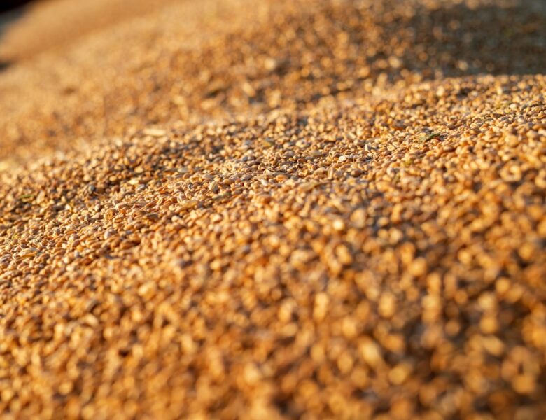 Україна скоротила експорт агропродукції у січні