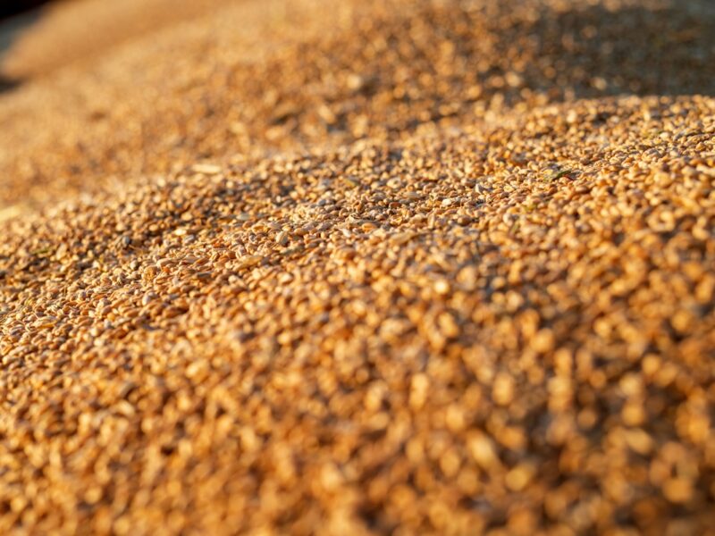 Україна скоротила експорт агропродукції у січні