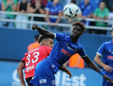 В Олександрії поповнення африканським колоритом