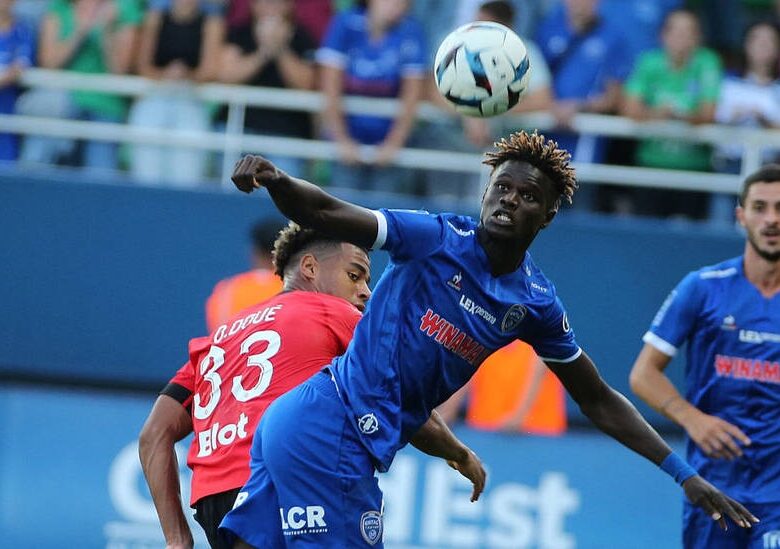 В Олександрії поповнення африканським колоритом