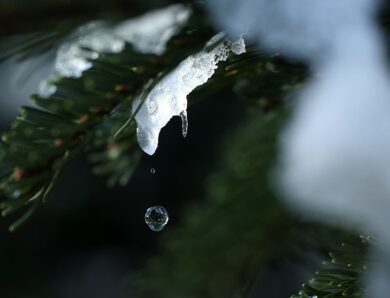 В Україні прогнозують значне потепління