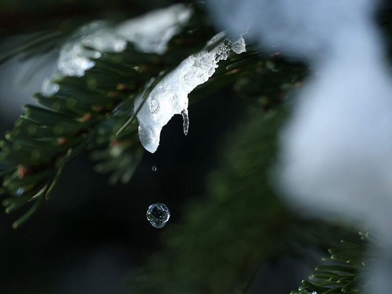 В Україні прогнозують значне потепління
