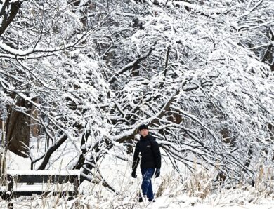 В Японії через снігопади загинули 35 людей