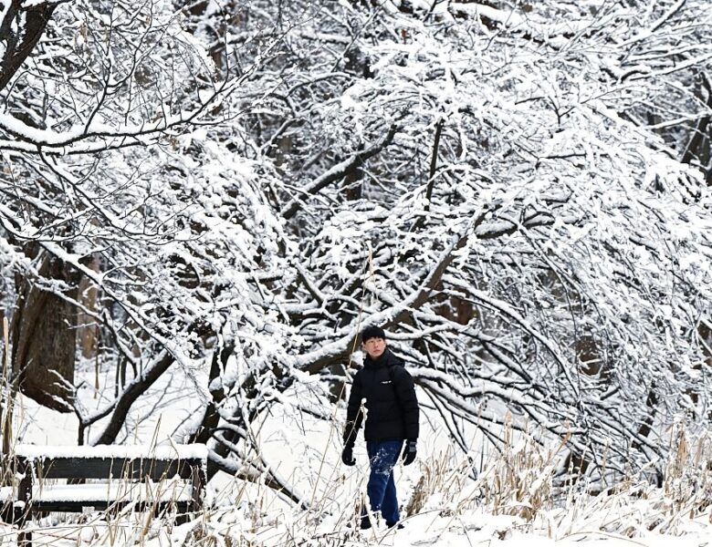 В Японії через снігопади загинули 35 людей
