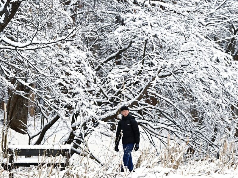 В Японії через снігопади загинули 35 людей