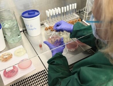 Вчені створили бактерії, здатні “з’їдати” ракові пухлини