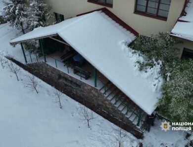 Захопили землю: підозру отримали експомічник народного депутата та  депутат Закарпатської облради