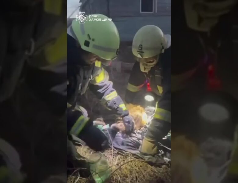 Кожне життя має значення: порятунок хвостиків під час пожежі у Харкові