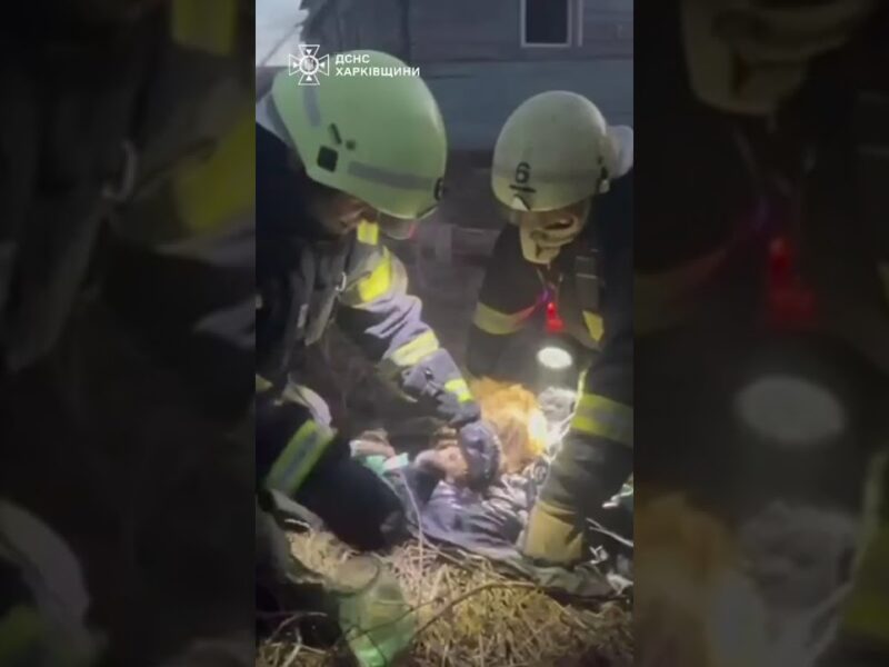 Кожне життя має значення: порятунок хвостиків під час пожежі у Харкові