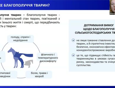 Семінар “Впровадження загальних вимог до благополуччя с/г птиці під час її утримання”