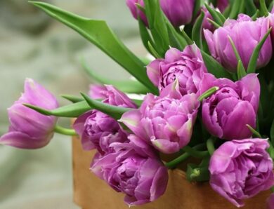 Більшість українців не святкуватимуть 8 березня – опитування