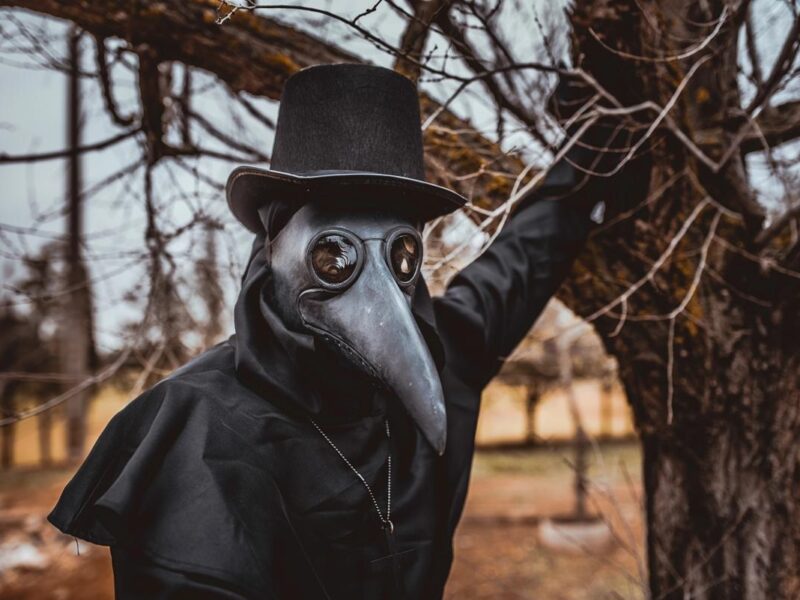 Чорна смерть у Європі: вчені пояснили зникнення рослин