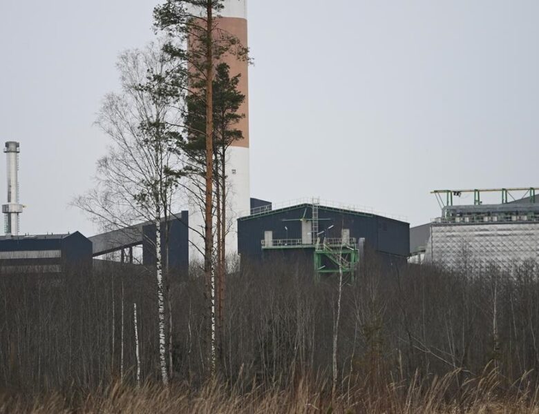 Дрон, що влучив у трубу електростанції Естонії, був українським