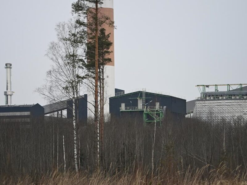 Дрон, що влучив у трубу електростанції Естонії, був українським