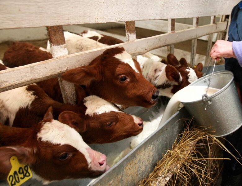 Фермери РФ втратили 1,5 млрд рублів через масове знищення худоби