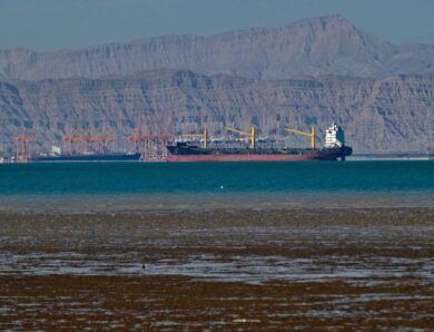 Індія купила в Ірану нафту після зняття санкцій США – ЗМІ