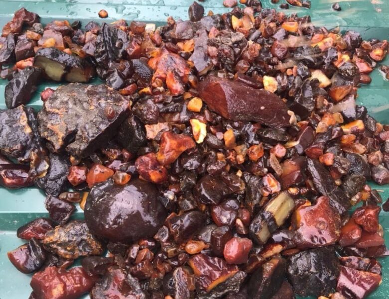 На Рівненщині викрили схему видобутку бурштину на сотні мільйонів