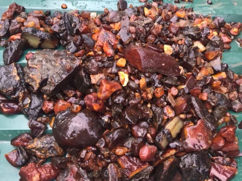 На Рівненщині викрили схему видобутку бурштину на сотні мільйонів