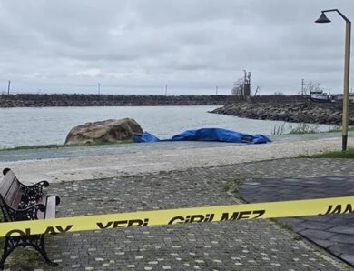 На узбережжі Туреччини виявили двометровий дрон