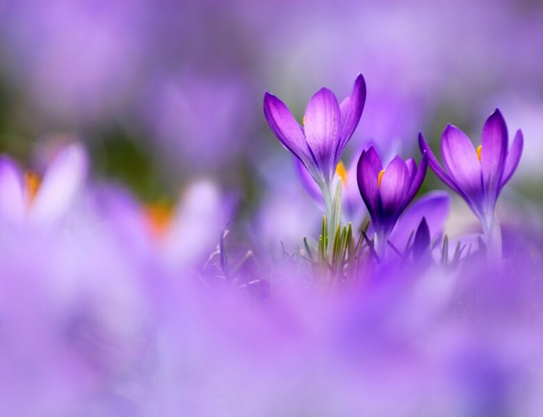 Незначне потепління, місцями дощитиме: погода у вихідні