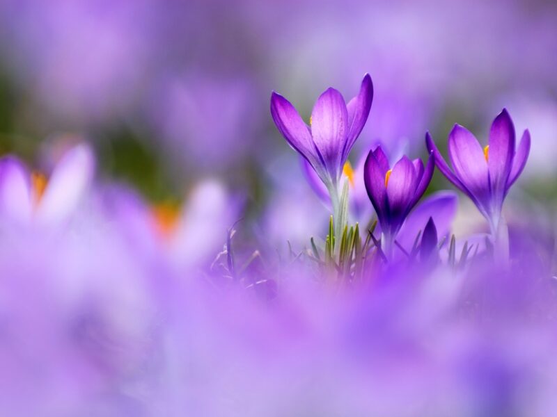 Незначне потепління, місцями дощитиме: погода у вихідні