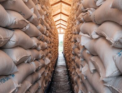 ООН попереджає про ризик глобального голоду через війну в Ірані