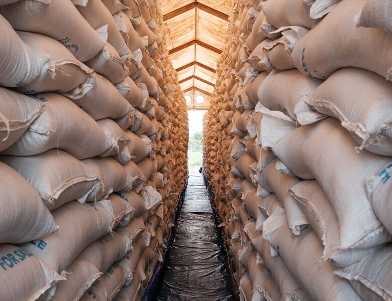 ООН попереджає про ризик глобального голоду через війну в Ірані