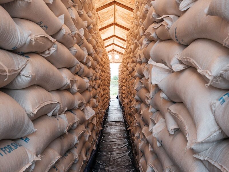 ООН попереджає про ризик глобального голоду через війну в Ірані