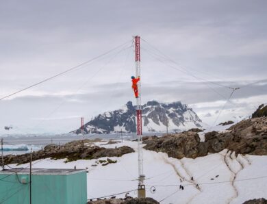 Пінгвіни, птахи і тюлень: українські полярники перемогли у фотоконкурсі