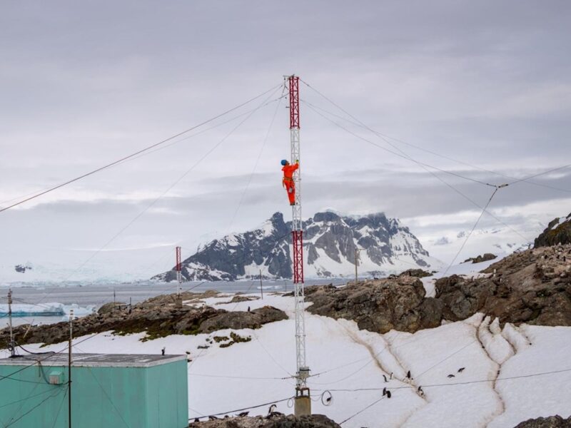 Пінгвіни, птахи і тюлень: українські полярники перемогли у фотоконкурсі