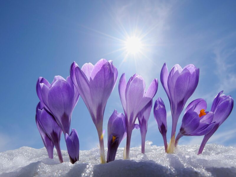 Подекуди до +15: синоптики заявили про потепління на вихідних