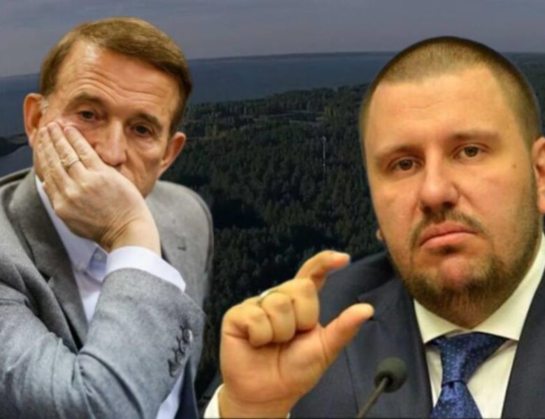 Пов&rsquo;язані з Медведчуком і Клименком землі на Київщині повернули державі