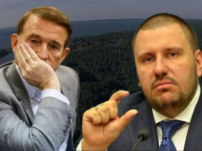 Пов&rsquo;язані з Медведчуком і Клименком землі на Київщині повернули державі