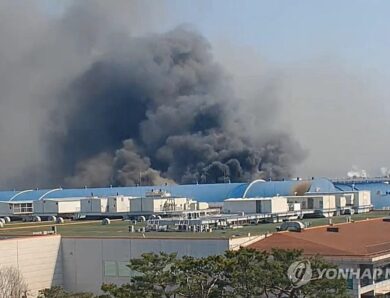 Пожежа на заводі у Південній Кореї: відомо про 10 загиблих