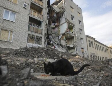 Приватизація руїн: хто отримає на них право власності