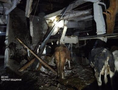 РФ атакувала сільгосппідприємство на Чернігівщині