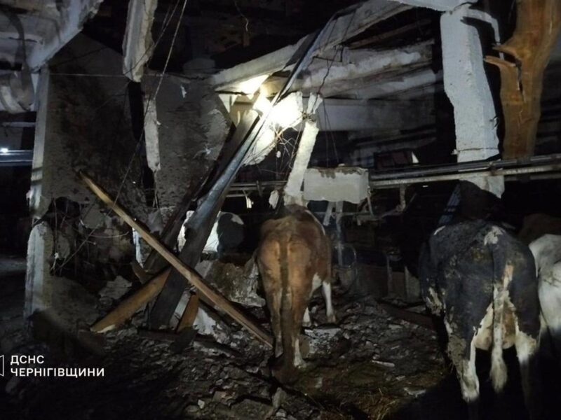 РФ атакувала сільгосппідприємство на Чернігівщині