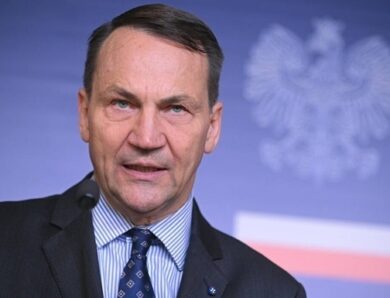 Сікорський розкритикував Навроцького за підтримку Орбана