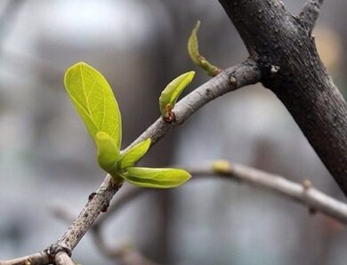 Стало відомо, якою буде погода у вихідні