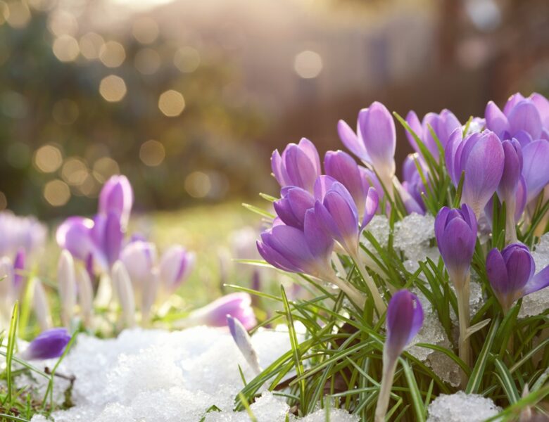 Сухо, місцями до +17&deg;: погода на початку тижня