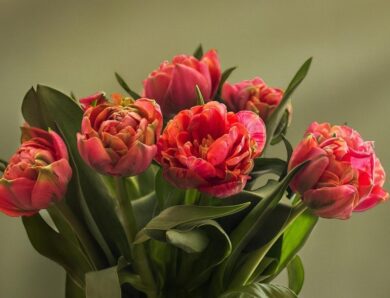 Свята 10 березня 2026: які заборони та події