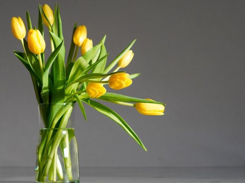 Свята 12 березня 2026: історія, традиції, прикмети