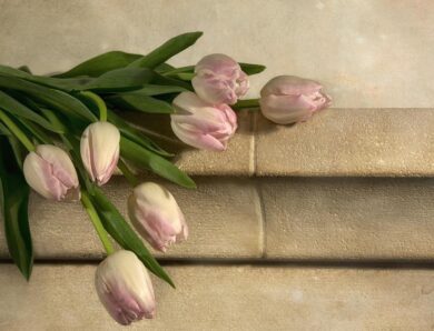 Свята 13 березня 2026: факти, традиції, іменини