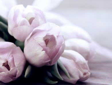 Свята 16 березня 2026: факти, традиції, прикмети