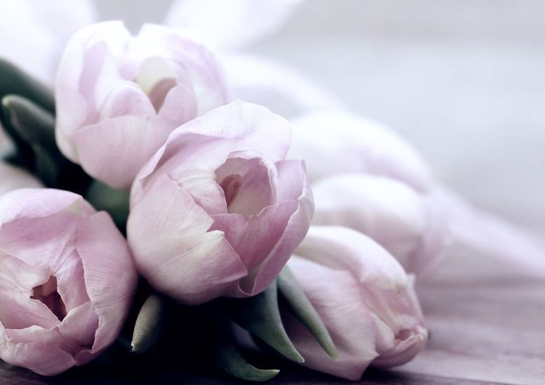 Свята 16 березня 2026: факти, традиції, прикмети