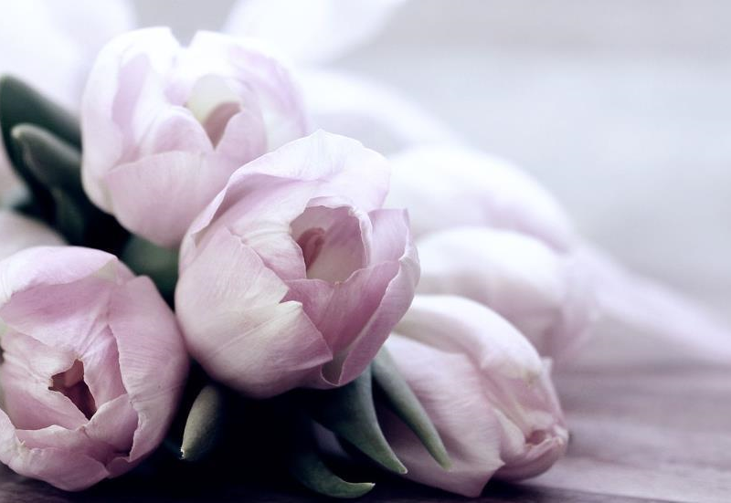 Свята 16 березня 2026: факти, традиції, прикмети