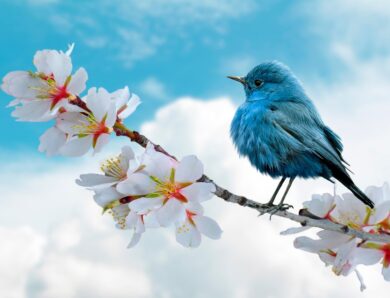 Свята 18 березня 2026: події, факти, іменини