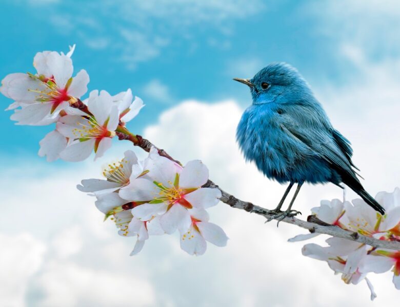 Свята 18 березня 2026: події, факти, іменини