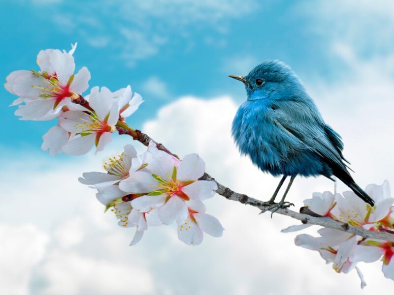 Свята 18 березня 2026: події, факти, іменини