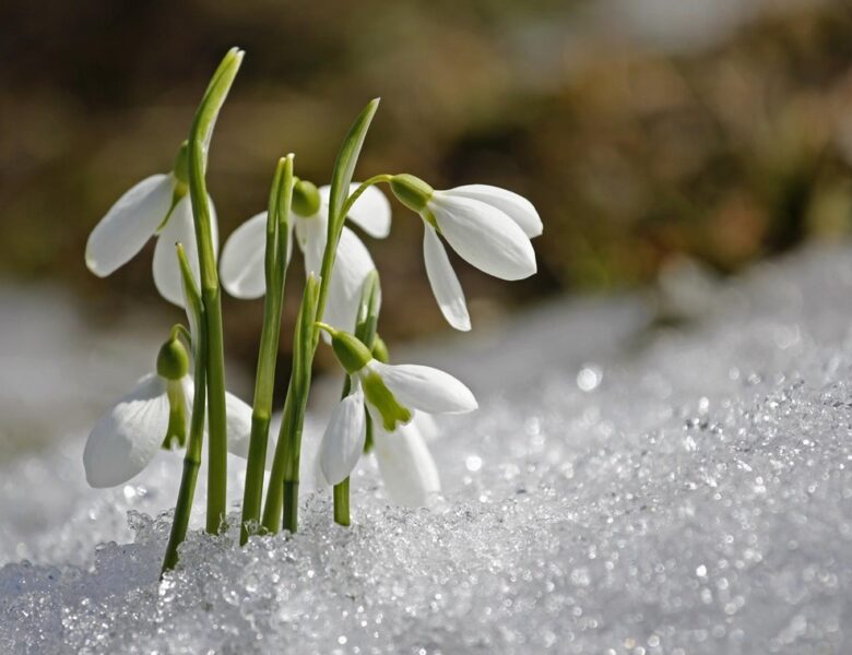 Свята 19 березня 2026 року: факти, події, заборони